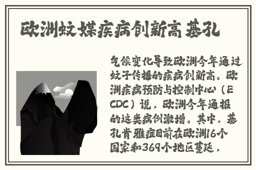 国产九九九人力资源